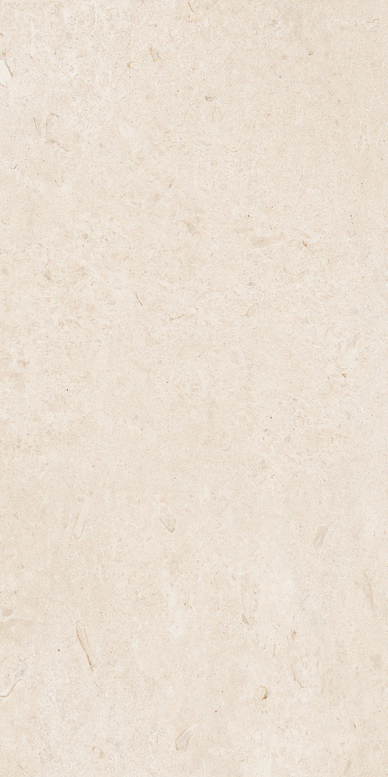 MARAZZI CARACTER BLANCO 60X120 RECT
